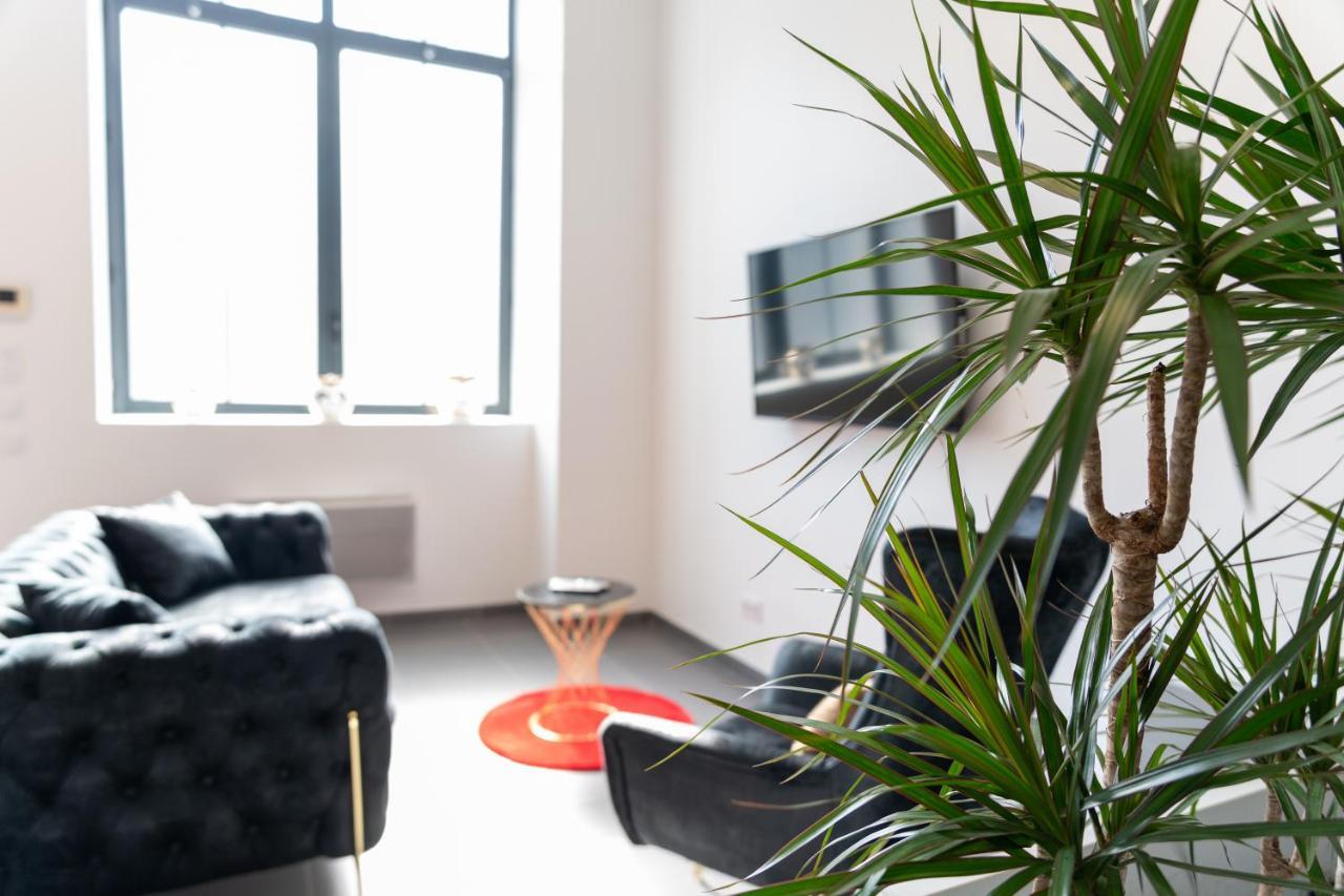 Loft La Mine D'or - Parking Gratuit Et Prive - Wifi - Equipe - Machine A Laver Apartment Rive-de-Gier