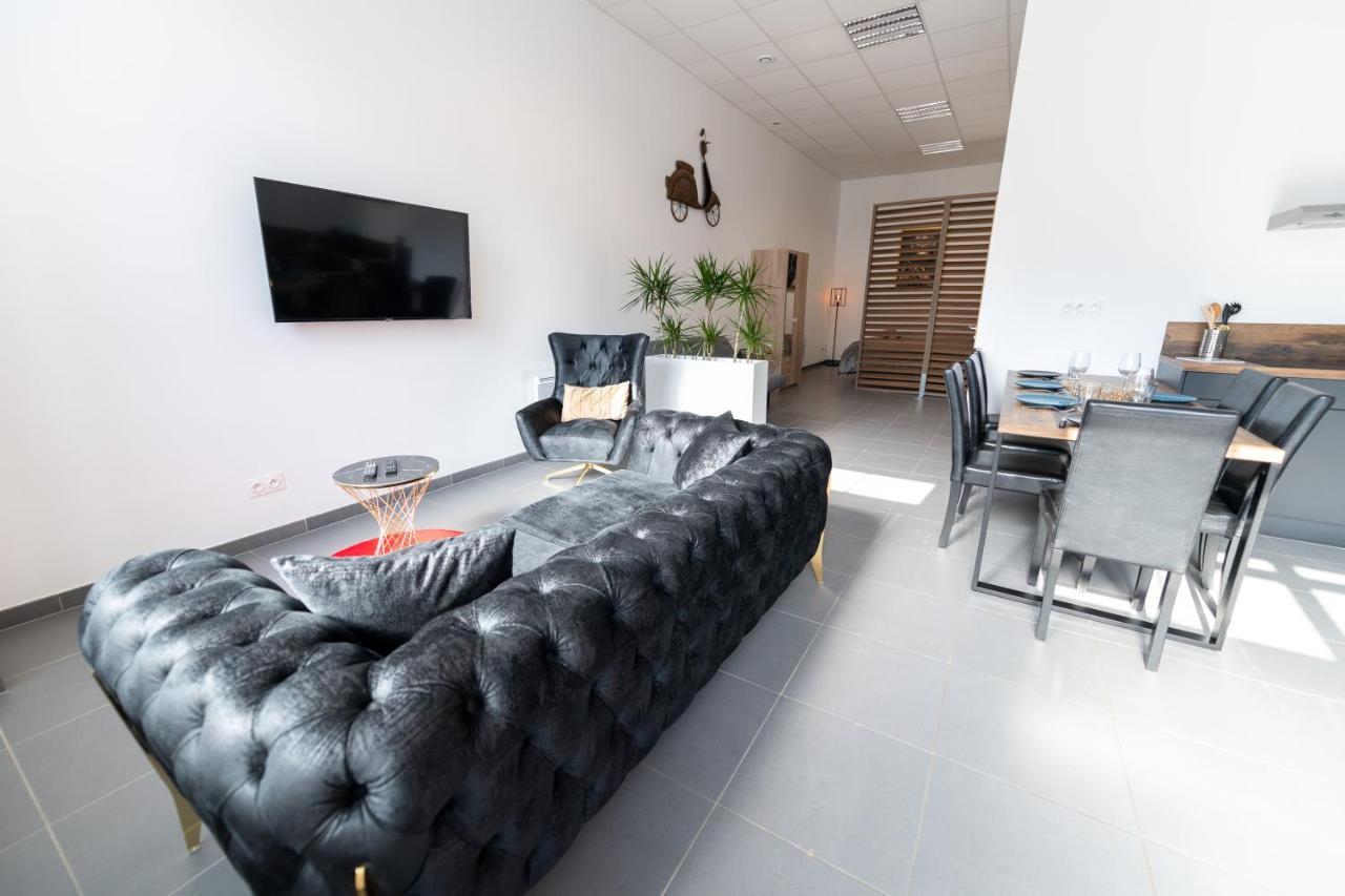 Loft La Mine D'or - Parking Gratuit Et Prive - Wifi - Equipe - Machine A Laver Rive-de-Gier