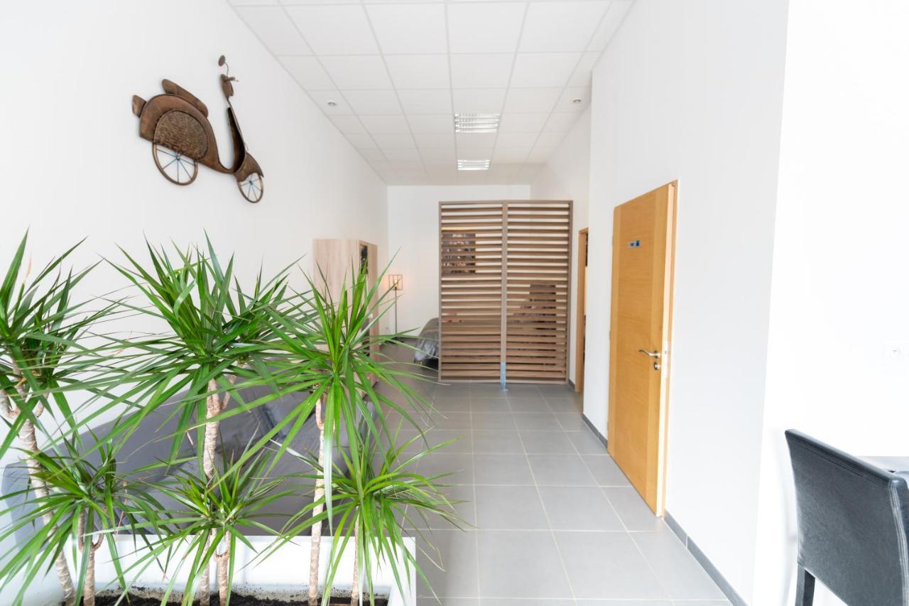Apartment Loft La Mine D'or - Parking Gratuit Et Prive - Wifi - Equipe - Machine A Laver Rive-de-Gier