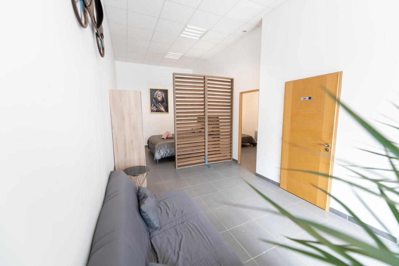 Loft La Mine D'or - Parking Gratuit Et Prive - Wifi - Equipe - Machine A Laver *