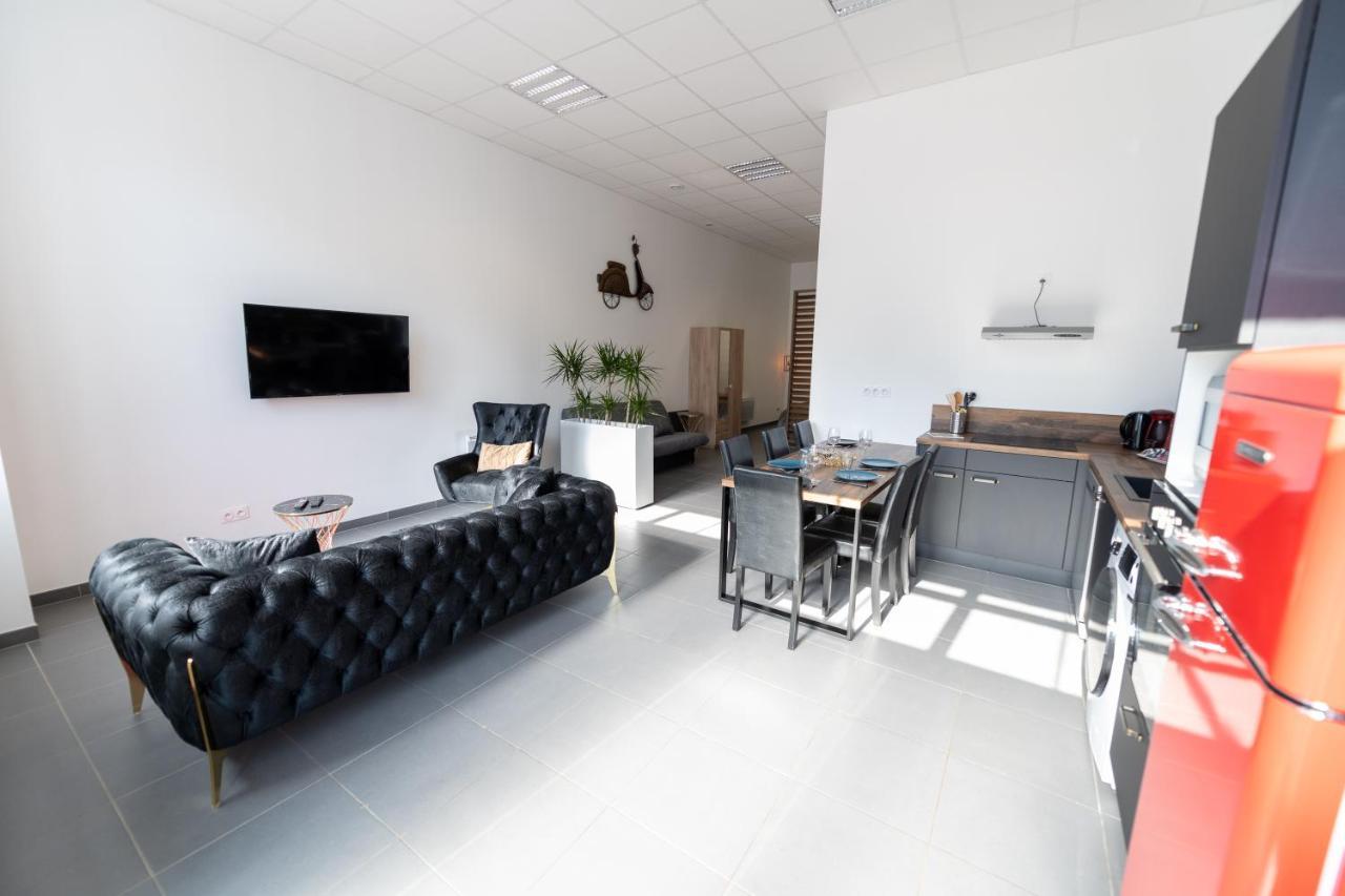 Loft La Mine D'or - Parking Gratuit Et Prive - Wifi - Equipe - Machine A Laver Rive-de-Gier