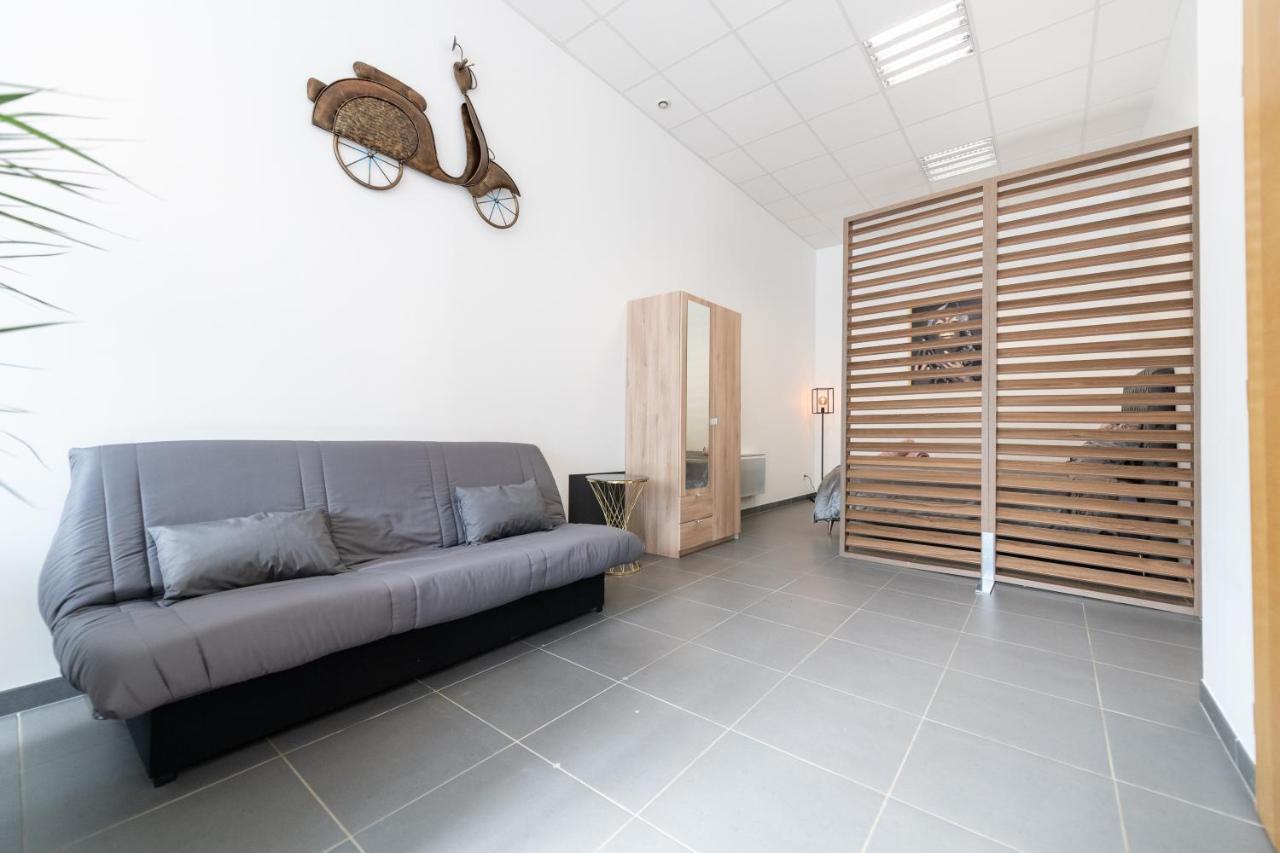 Loft La Mine D'or - Parking Gratuit Et Prive - Wifi - Equipe - Machine A Laver * Rive-de-Gier